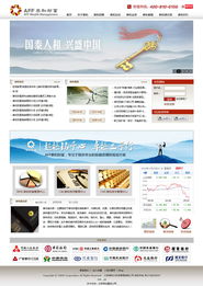 北京網站建設成功案例 探索北京尚網匯智的專業服務